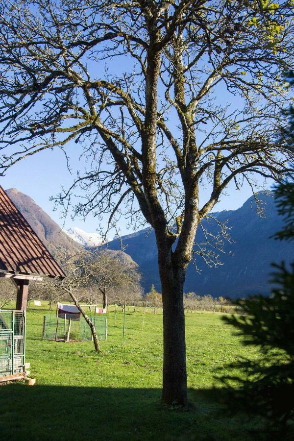 Apartment Mavrica Bovec Exterior foto